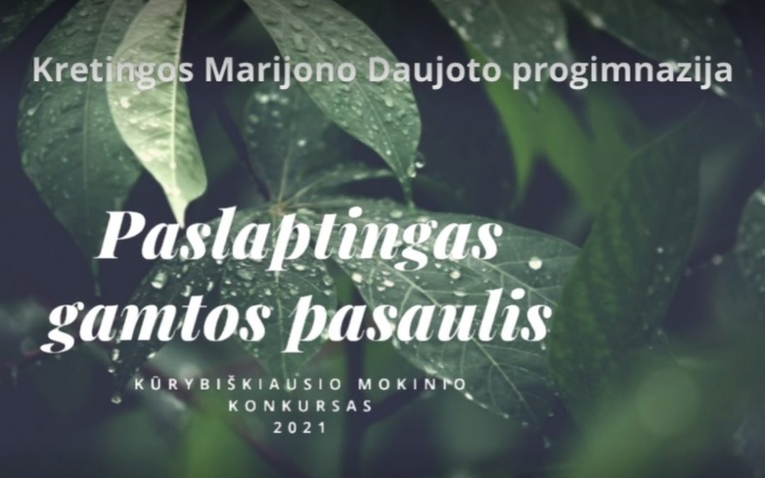 Paskelbti „Kūrybingiausio mokinio konkurso“ nugalėtojai