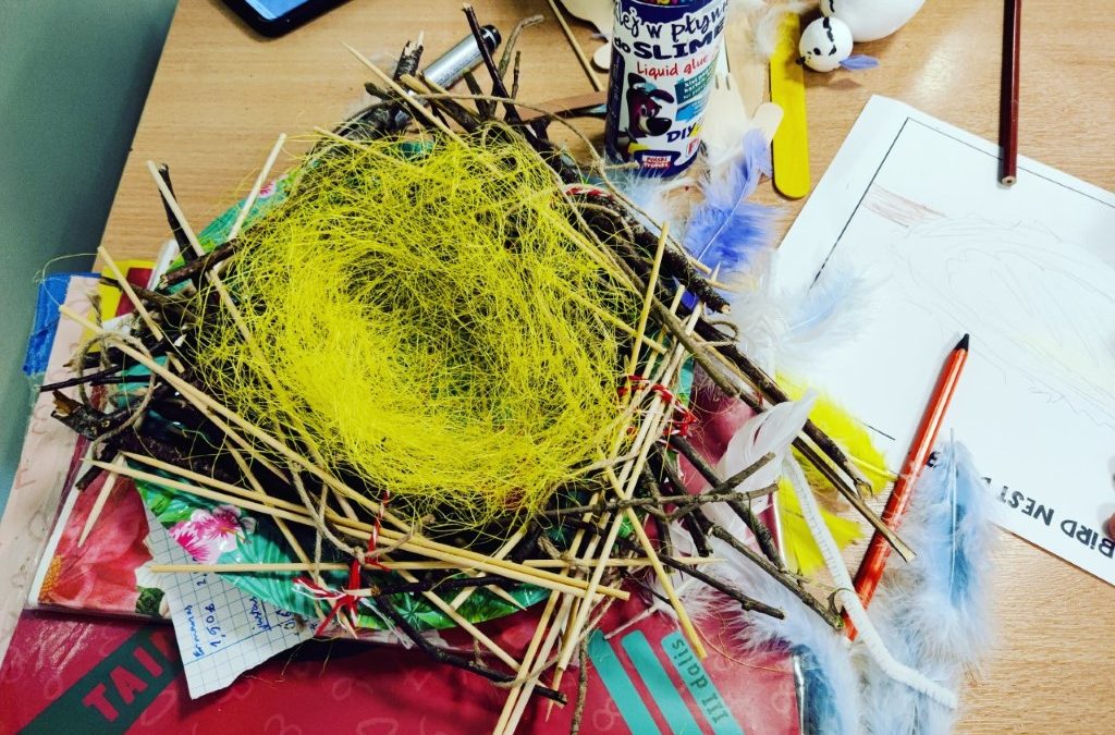 STEAM projektas „Build a nest!“