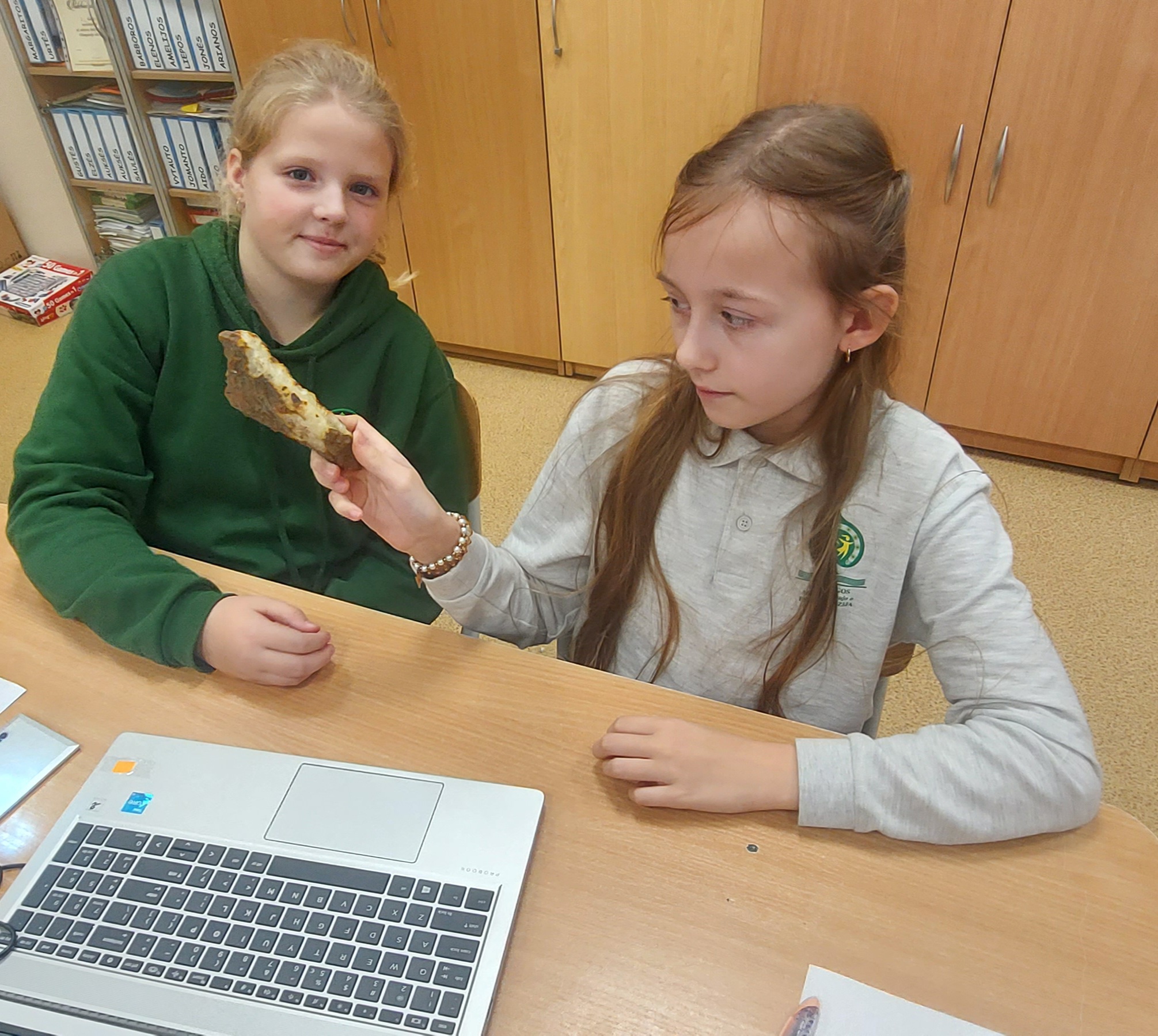 Edukacinės pamokos apie gintarą ir jo savybes