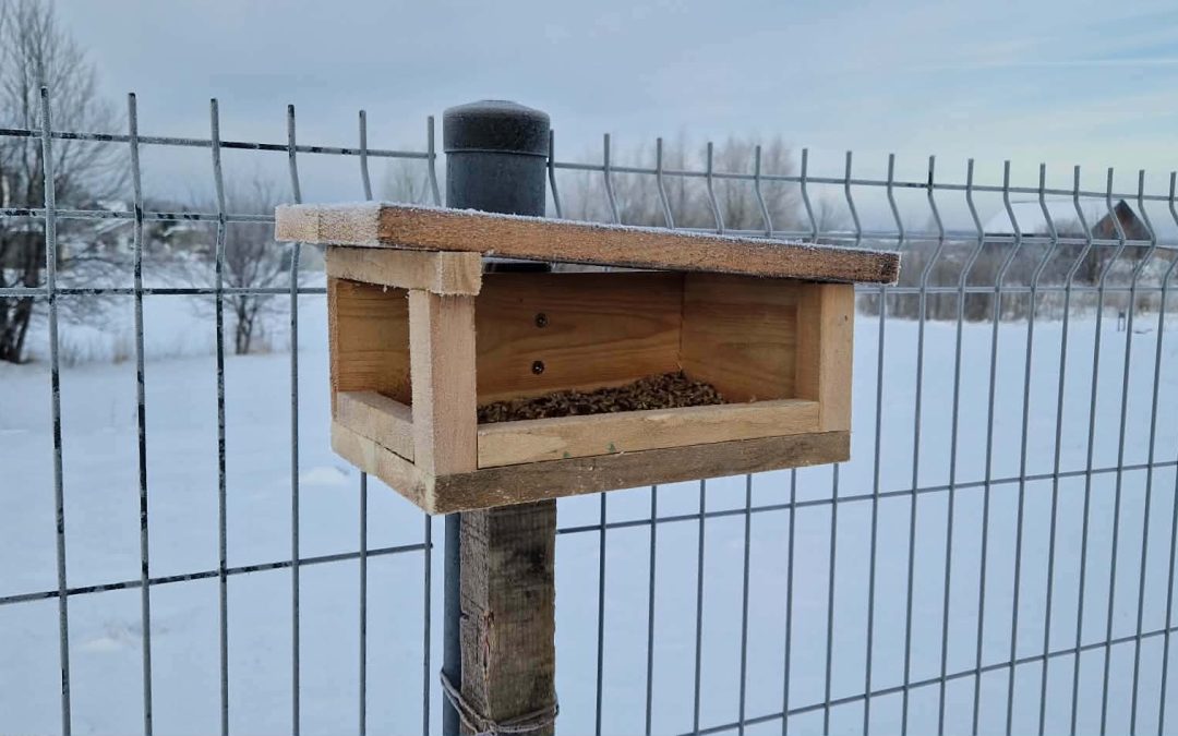 Kviečiame padėti paukščiukams išgyventi žiema