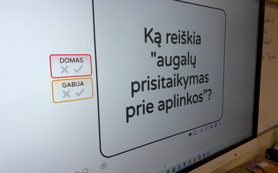 Diena be stalų – mokomės kitaip!