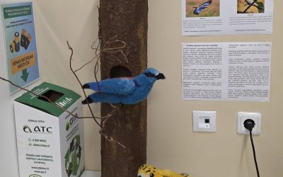 Progimnazijos skaitykloje nutūpė ypatinga parodėlė