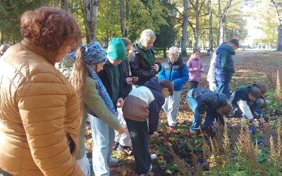 Mokiniai vykdė akciją „Žiedų alėja: svogūnėlį pasodinsiu, gėlynėlį padabinsiu“